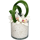 AF 100-23 White Cymbidium Orchids In Glass Vase With Bear Grass Design Floral Arrangement