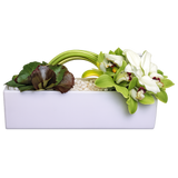 AF 150-22 White Cymbidium Orchid Modern Rectangular Vase Floral Arrangement