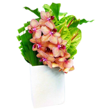AF 150-26 Tropical Orchids & Green Anthuriums In White Textured Vase Floral Arrangement