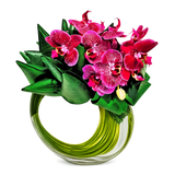 AF 175-12  Phalaenopsis Orchid Designer Floral Arrangement