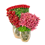 AF 1750-1 Red Roses & Pink Cymbidium Orchids in Gold Vase – Delivery Miami Same Day