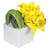 AF 200-15 Yellow Calla Lilies In Modern White Ceramic Cube Vase Floral Arrangement