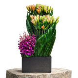 AF 250-10 Peach Lily And Purple Orchid Modern Floral Arrangement In Black Vase