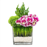 AF 300-11 Modern Orchid & Green Dianthus Floral Arrangement
