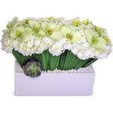 AF 300-7 Green Orchids & White Hydrangeas In Modern White Rectangular Vase