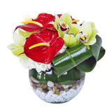 AF 50-2 Red Anthurium & Green Orchid Glass Bowl Floral Arrangement