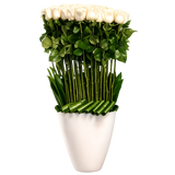 Ivory Rose Arrangement – Delivery Miami Same Day
