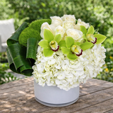 AF 75-4 White Hydrangea & Green Cymbidium Orchid Cylinder Vase Floral Arrangement