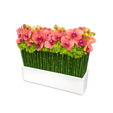 AFM175-1 Coral Orchid & Hydrangea Modern Bamboo Vase Floral Arrangement