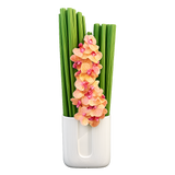AFM 185-2 Peach Orchid in Modern Ceramic Vase Floral Arrangement