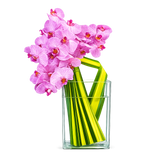 Elegant Pink Orchid Glass Vase Arrangement AFM 230-1