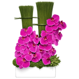 AFV 280-2 Pink Orchid And Bamboo Floral Arrangement - Delivery Miami Same Day