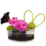 AFV 300-5 Modern Orchid And Calla Lily Floral Arrangement -  Delivery Miami Same Day