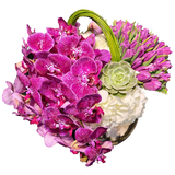 AFV 315-1 Pink Orchid And Succulent Designer Floral Basket  w/ Same Day Flower Delivery, Miami