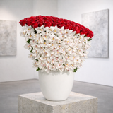 AFV 995-1 Luxury Red Roses & White Cymbidium Orchids in White Vase – Delivery Miami Same Day