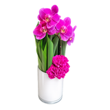 AFS 100-1 Vibrant Magenta Orchids And Pink Carnations In White Vase Floral Arrangement