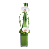 AFS 100-3 Modern White Orchids In Tall Green Glass Vase Floral Arrangement