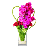 AFV 555-1 Luxury Orchid And Rose Heart Same Day Flower Delivery, Miami