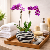 AFO 200-1 Purple Orchid Double Stem Zebra Glass Vase Floral Arrangement