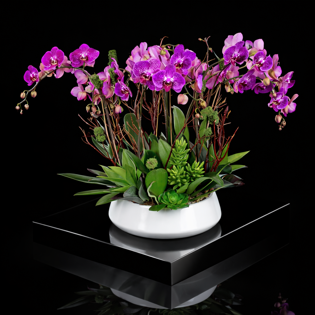 AF0 600-1 Luxury Purple Orchid & Succulent in Ceramic Bowl – Delivery Miami Same Day