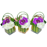 AFP 200-1 Triple Orchid Hydrangea & Tulips Glass Vase Set