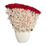 AFV 995-1 Luxury Red Roses & White Cymbidium Orchids in White Vase – Delivery Miami Same Day